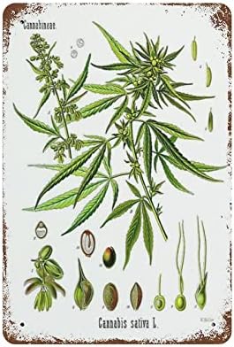 LLGJHW Vintage Funny Cannabis Sativa Poster
