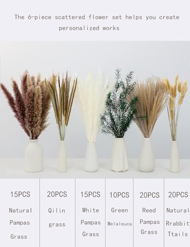 Dried Pampas Grass Bouquet 100 Stems Bohemian Decor Accent