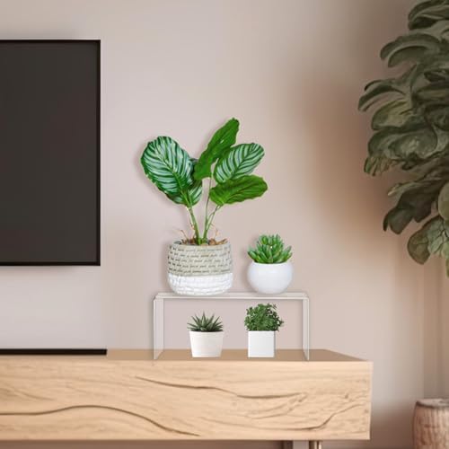 2 Pc 12 Inch Clear Acrylic Risers Display Stand