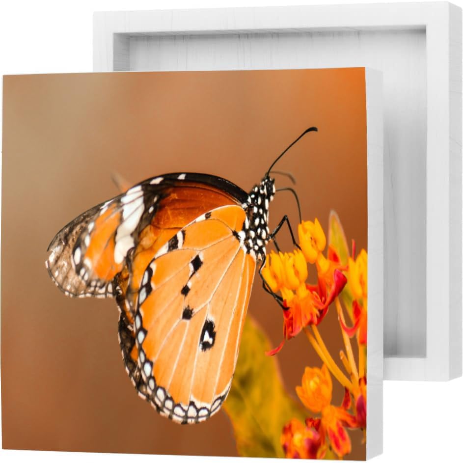 7x7 Inch Autumn Home Decor Sign Fall Wall Decor
