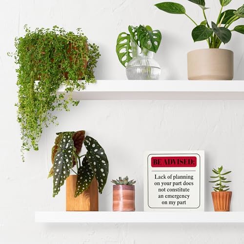 Funny Office Desk Decor Sign 5x5 Inches