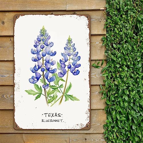 ALREAR Texas Bluebonnet Wall Art Decor 12x8 Inch