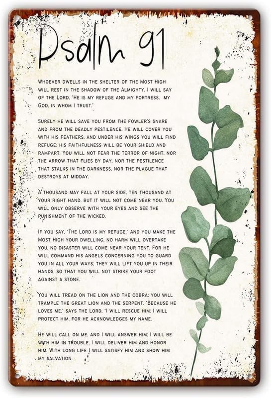Psalm 91 Feathers Metal Wall Art 12x16 Inch
