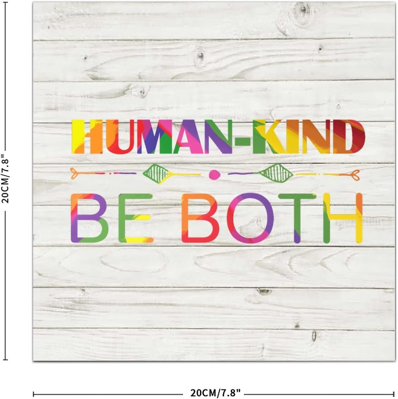 Pride Parade Human Kind Be Both Wood Sign 6x6