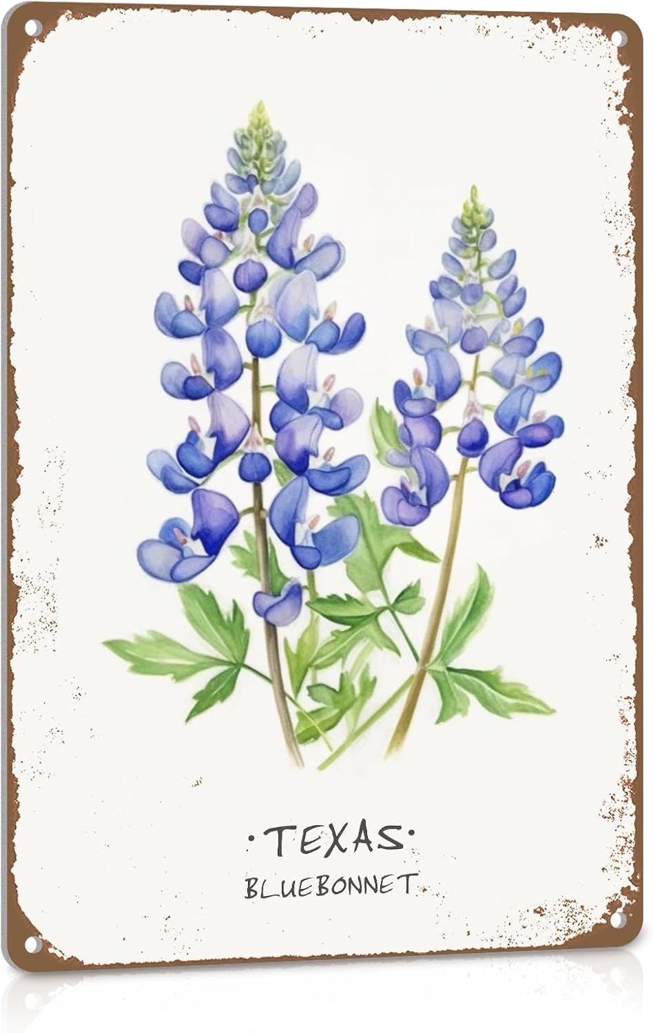 ALREAR Texas Bluebonnet Wall Art Decor 12x8 Inch