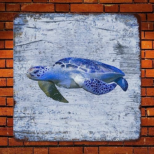 Coastal Ocean Theme Blue Sea Turtle Wall Sign 15x15in