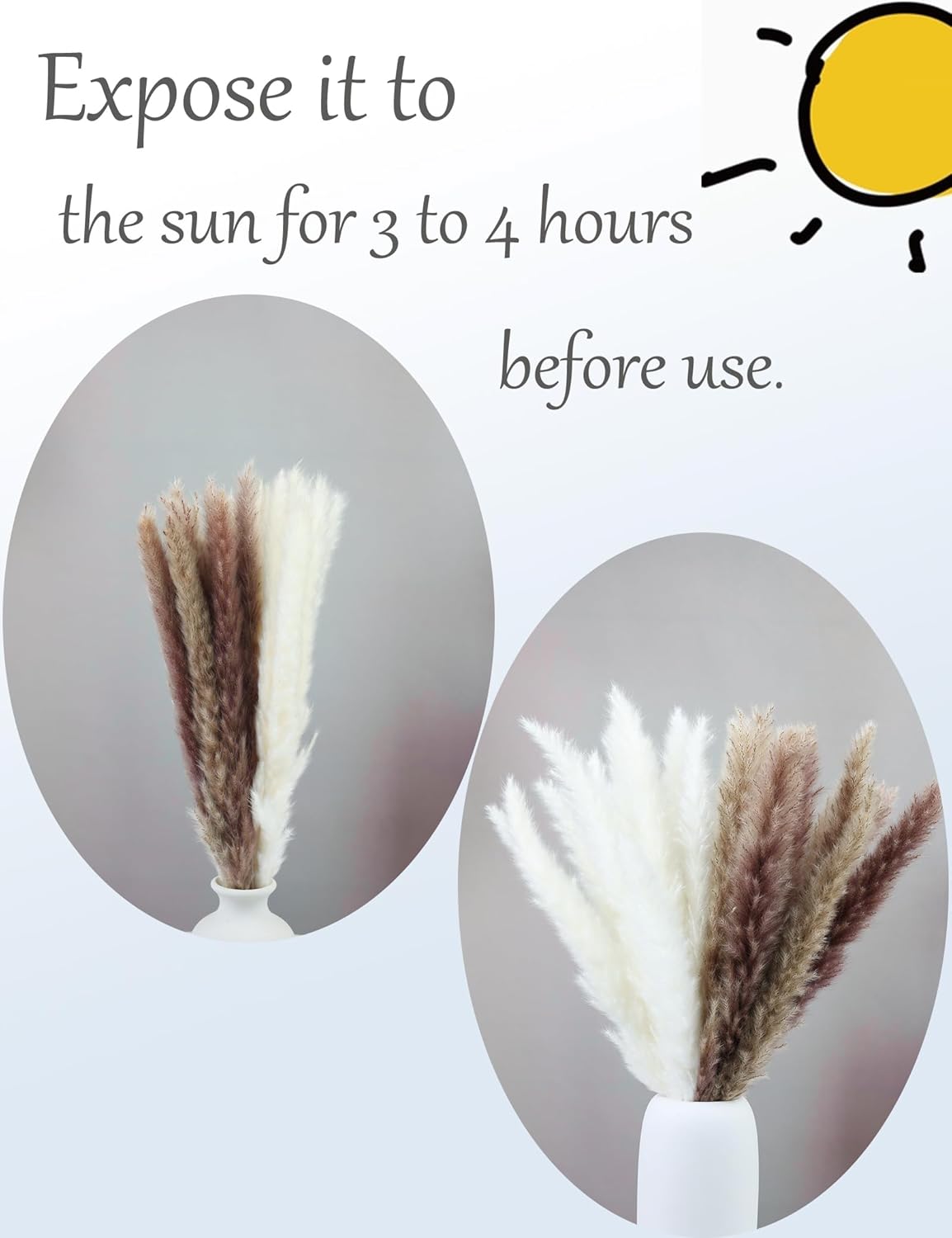 Dried Pampas Grass Bouquet 100 Stems Bohemian Decor Accent