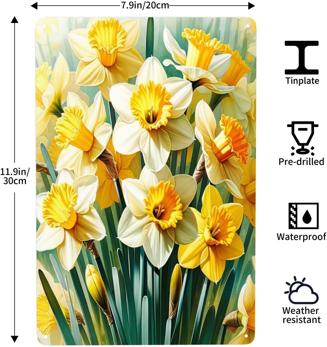 Beautiful Flowers Daffodil Metal Wall Art Sign Decor