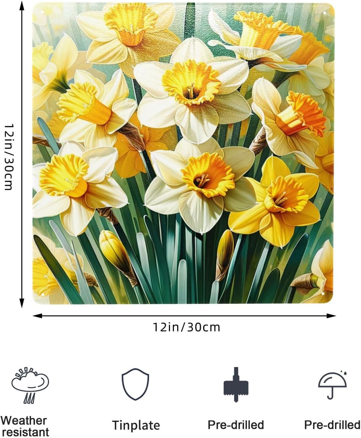 Bright Daffodil Blossoms Metal Tin Wall Art Decor Sign 12x12inch