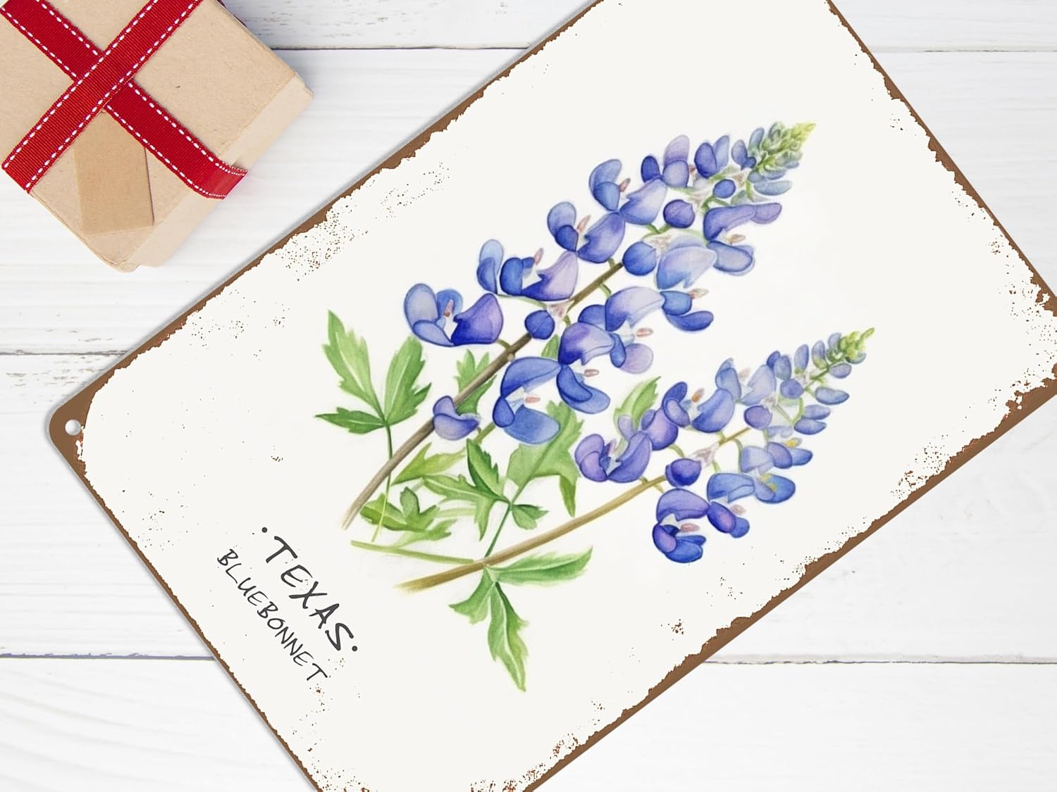 ALREAR Texas Bluebonnet Wall Art Decor 12x8 Inch