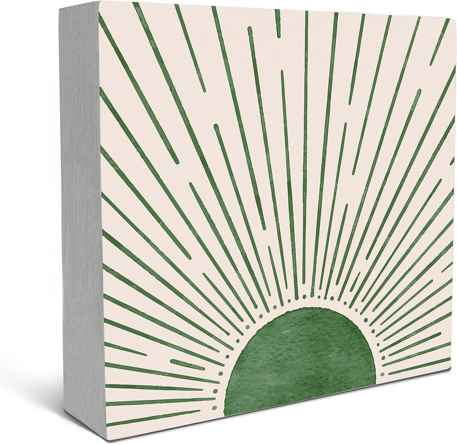 SRADMO Abstract Boho Green Wood Box Sign Decor