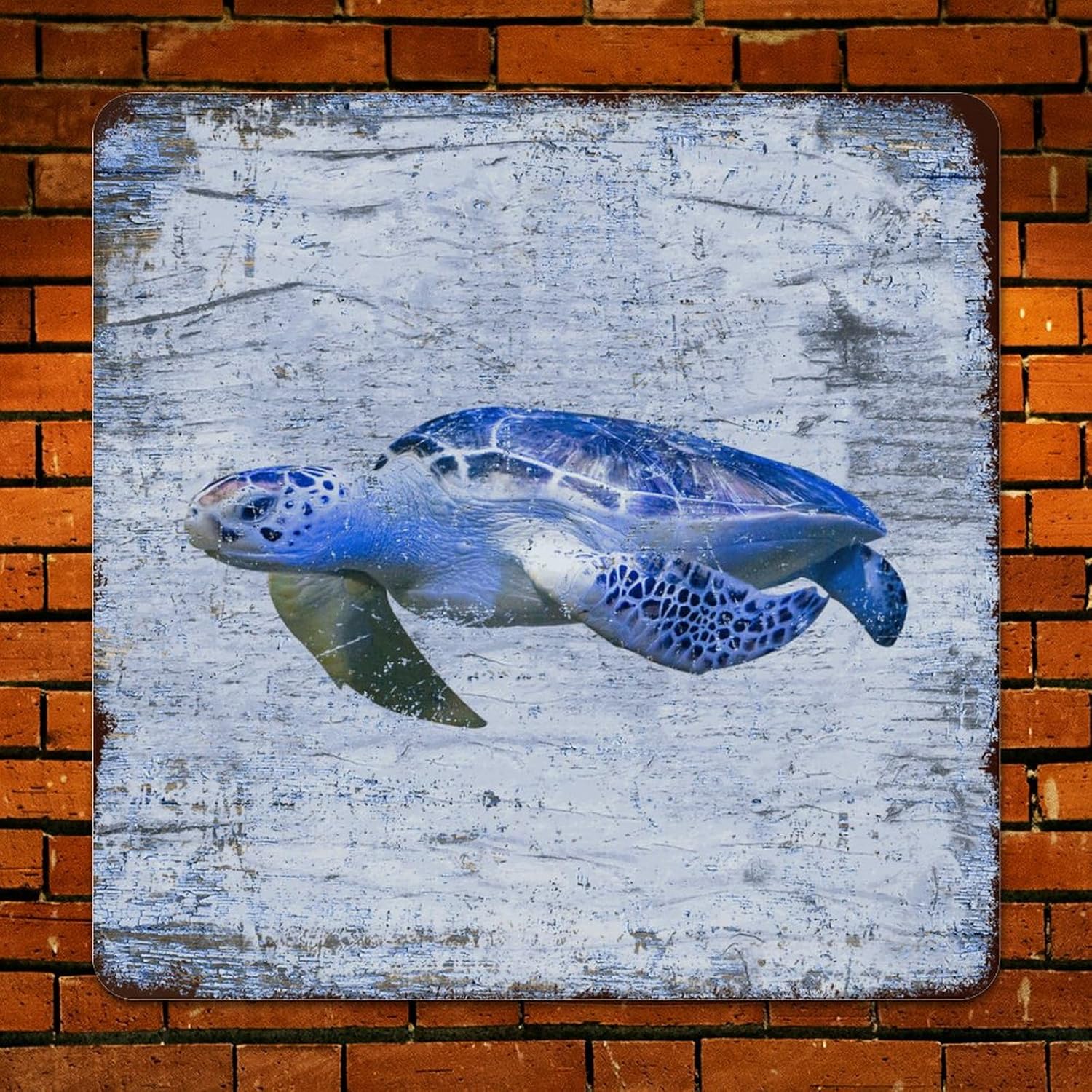 Coastal Ocean Theme Blue Sea Turtle Wall Sign 15x15in