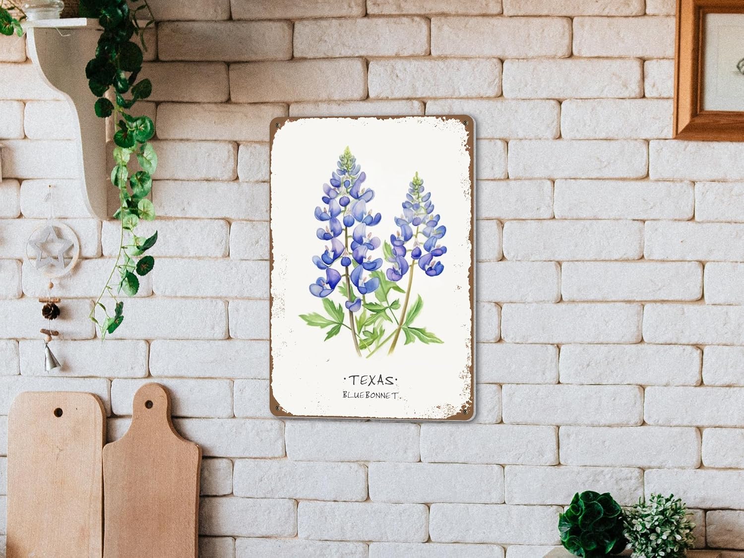 ALREAR Texas Bluebonnet Wall Art Decor 12x8 Inch